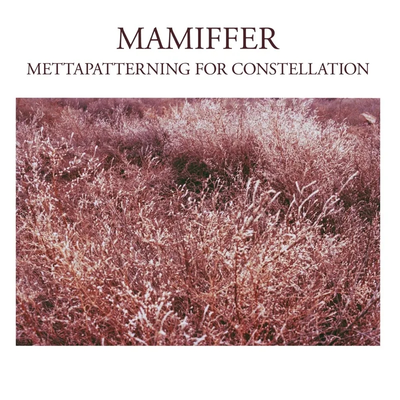 Album artwork for Mettapatterning For Constellation by Mamiffer
