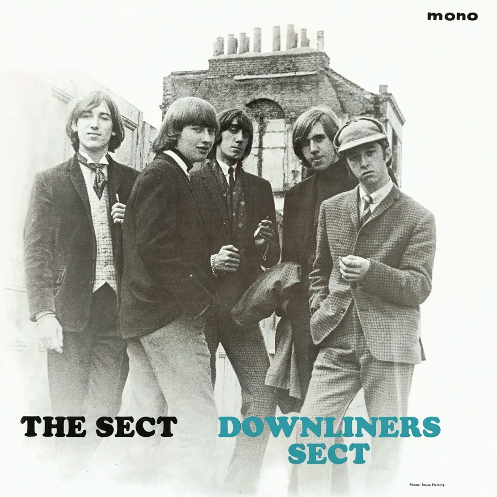 Album artwork for The Sect by Downliners Sect