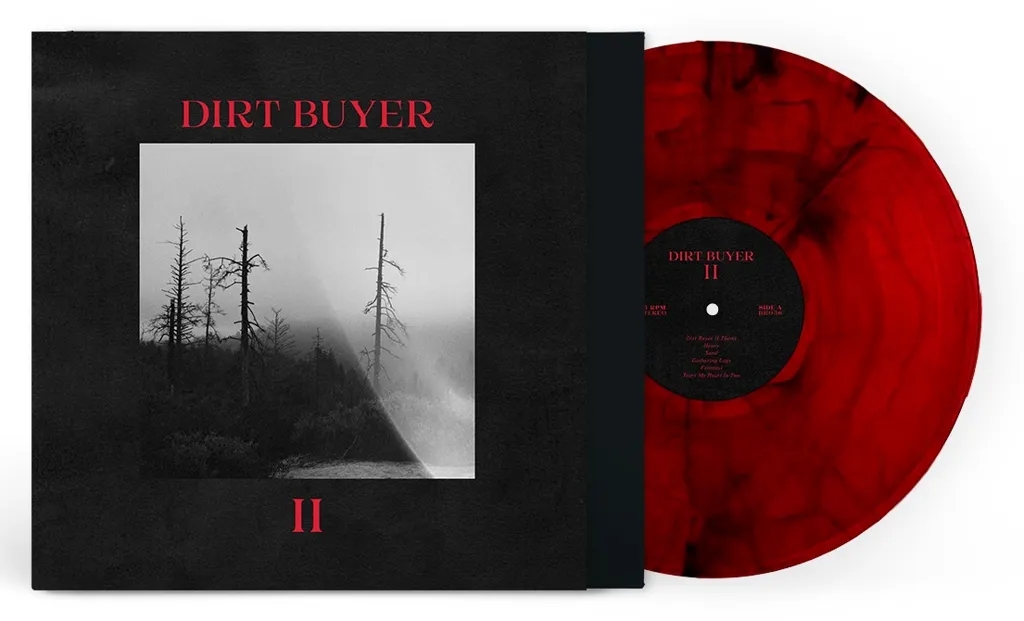 Album artwork for Dirt Buyer II by Dirt Buyer 