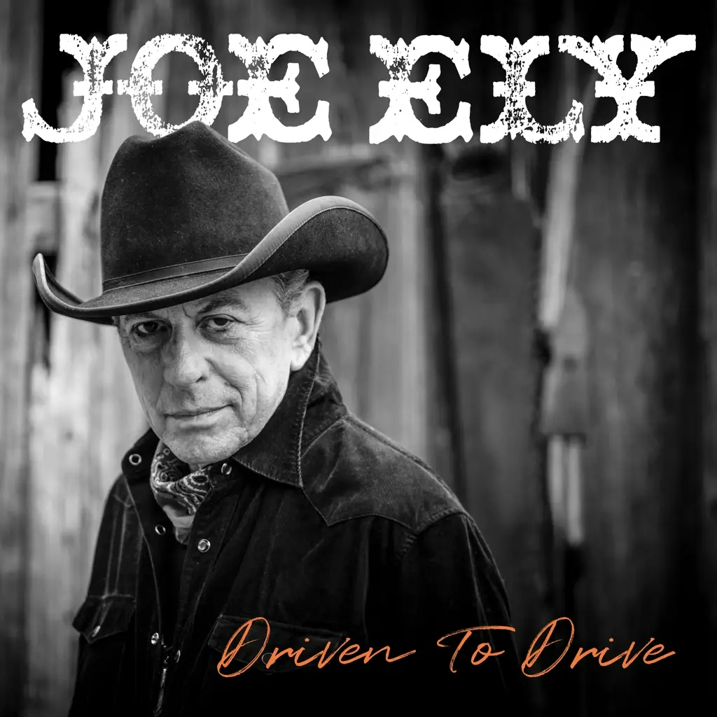 Album artwork for Driven To Drive by Joe Ely