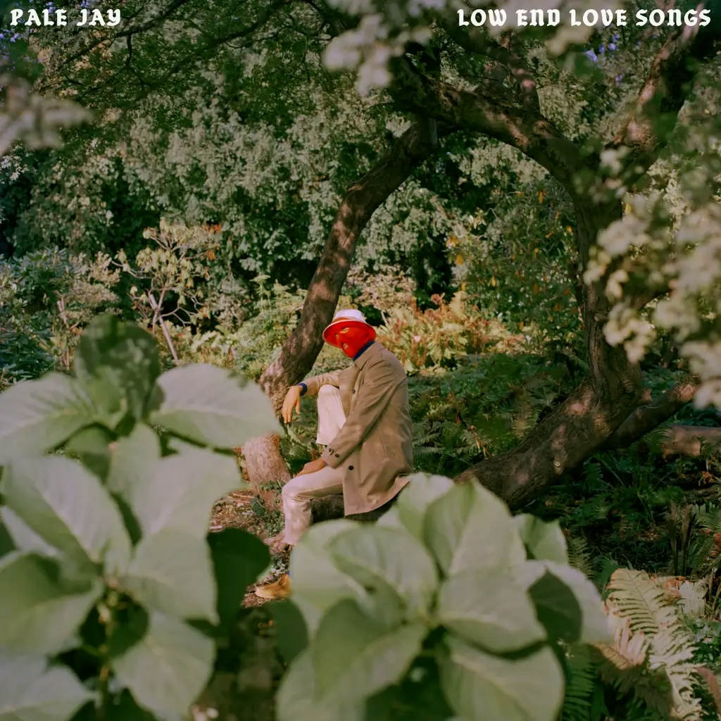 Album artwork for  Low End Love Songs by Pale Jay