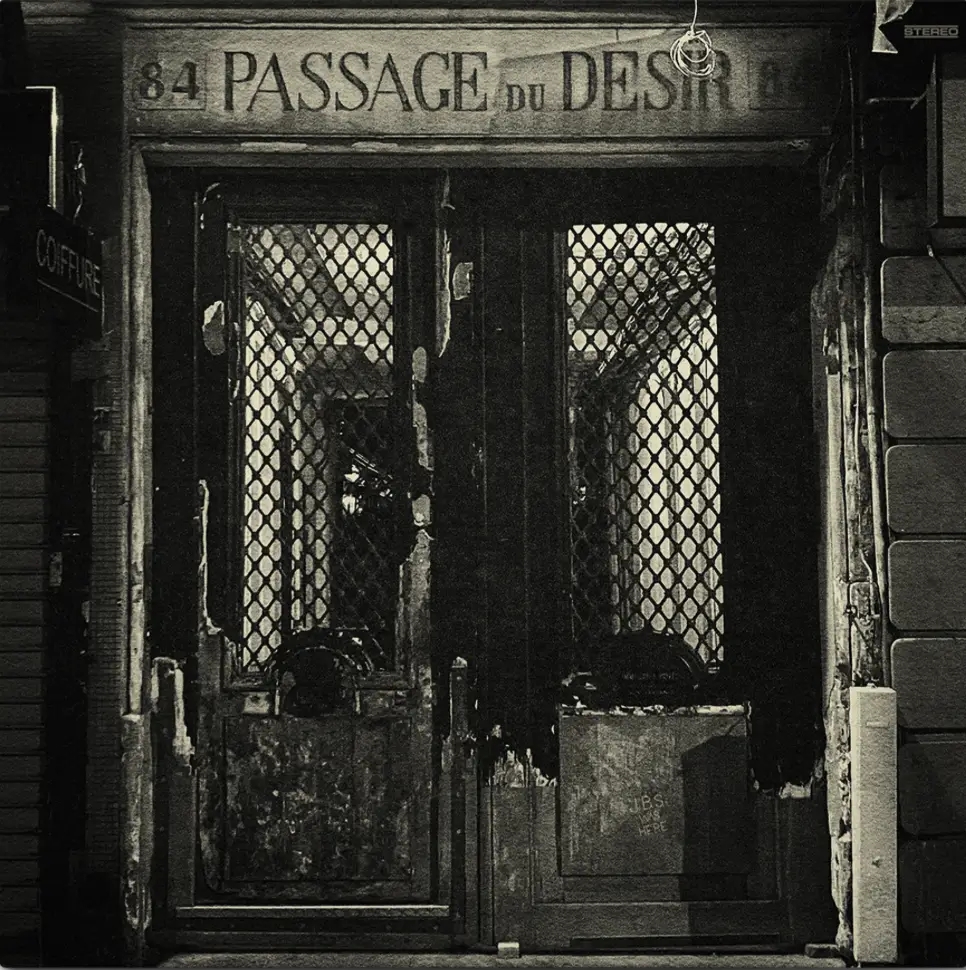 Album artwork for Passage du Desir by  Johnny Blue Skies