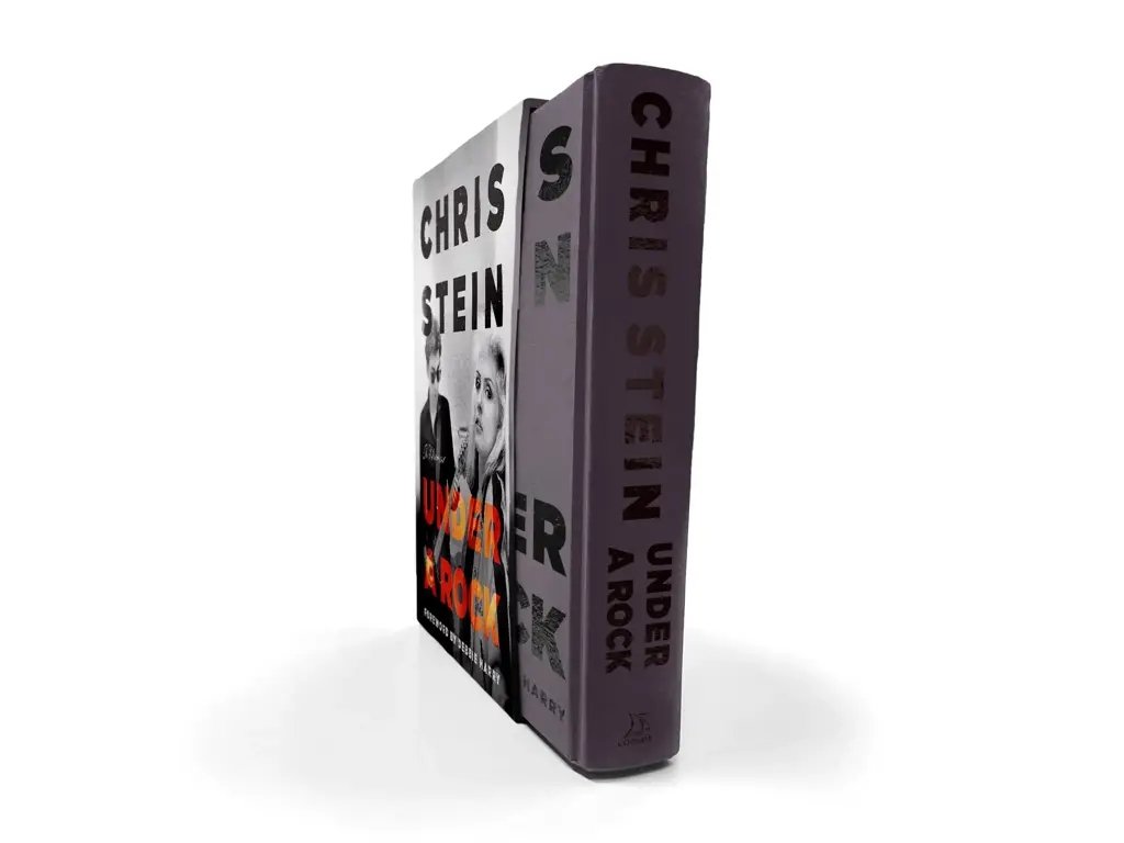 Album artwork for Album artwork for Under A Rock by Chris Stein by Under A Rock - Chris Stein