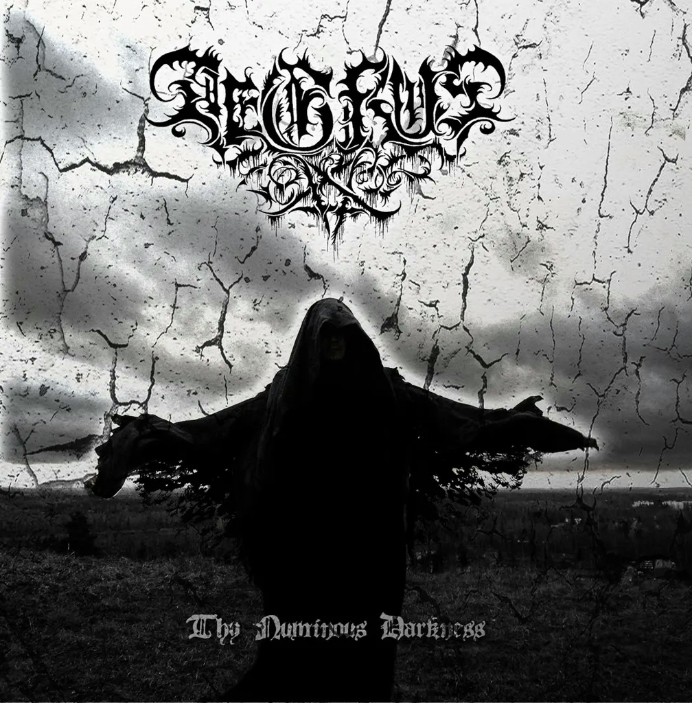 Album artwork for Thy Numinous Darkness by Aegrus