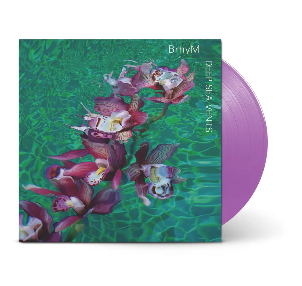 Album artwork for Deep Sea Vents by BryhM