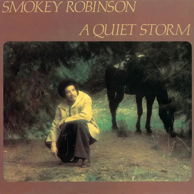Album artwork for A Quiet Storm by Smokey Robinson