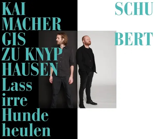 Album artwork for Lass Irre Hunde Heulen by Gisbert Zu/Schumacher,Kai Knyphausen