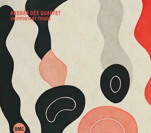 Album artwork for Unimportant Things by Andras Des Quartet