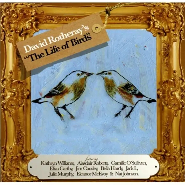 Album artwork for Life Of Birds by David Rotheray