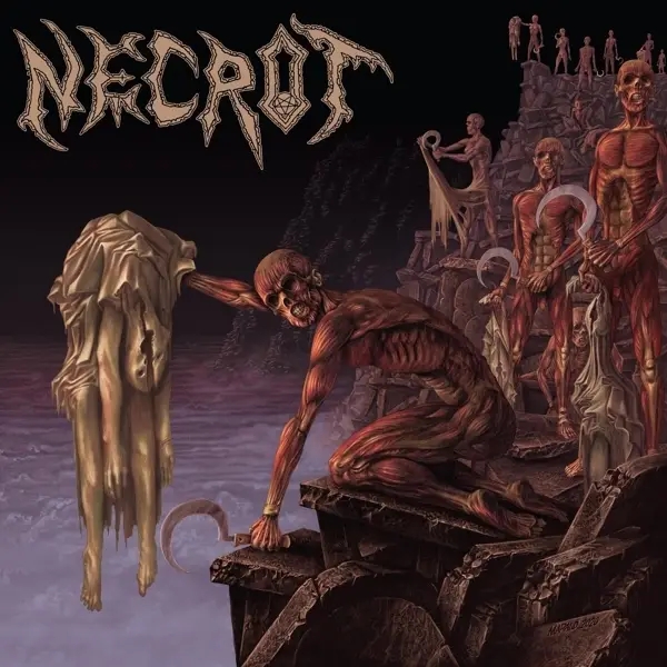 Album artwork for Mortal by Necrot