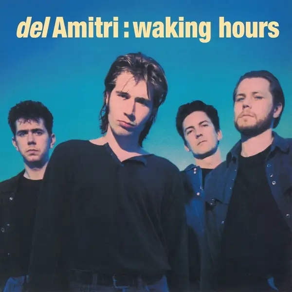Album artwork for Waking Hours by Del Amitri