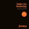 Album artwork for Waltz for Yesterday – The Recordings 1972-1974 by Jonesy