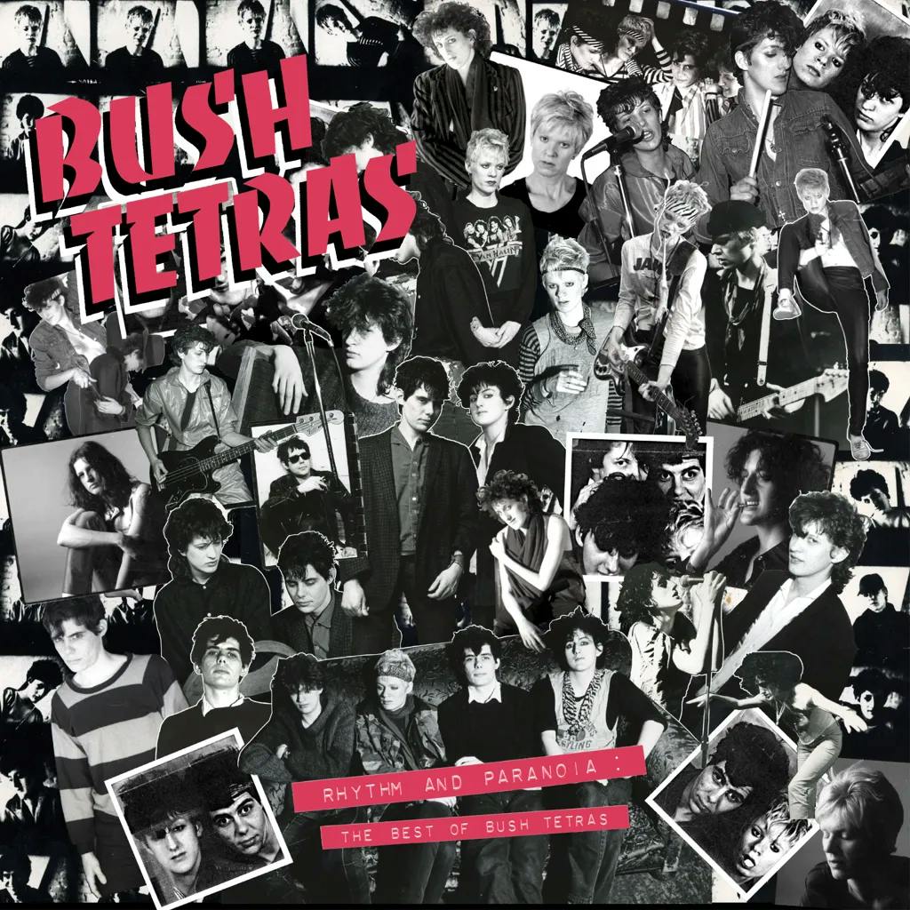 Album artwork for Rhythm and Paranoia: The Best of Bush Tetras by Bush Tetras