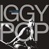Illustration de lalbum pour Pop Music par Iggy Pop
