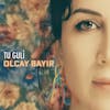 Album artwork for Tu Guli by Olcay Bayir