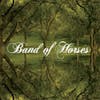 Illustration de lalbum pour Everything All The Time par Band Of Horses
