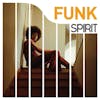 Illustration de lalbum pour Spirit Of Funk par Various