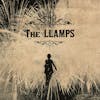 Album artwork for The Llamps by The Llamps