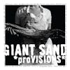 Illustration de lalbum pour Provisions par Giant Sand