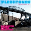 Illustration de lalbum pour Brooklyn Sound Solution par Fleshtones