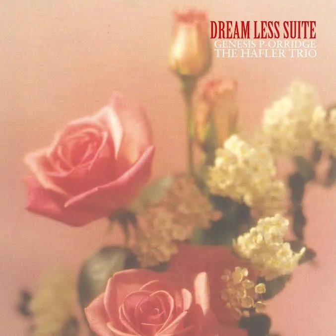 Album artwork for Dreams Less Suite by Genesis P Orridge, Hafler Trio