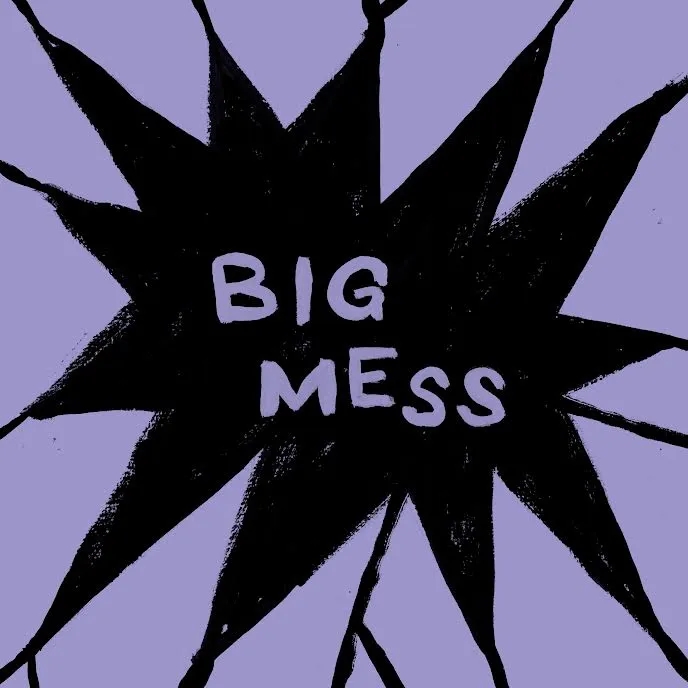 Album artwork for Big Mess by Public Body