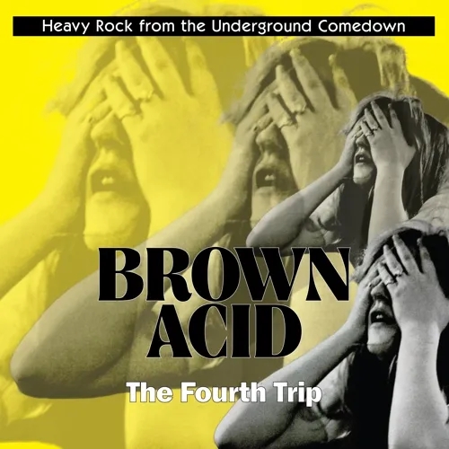 Album artwork for Brown Acid - The Fourth Trip by Various Artists
