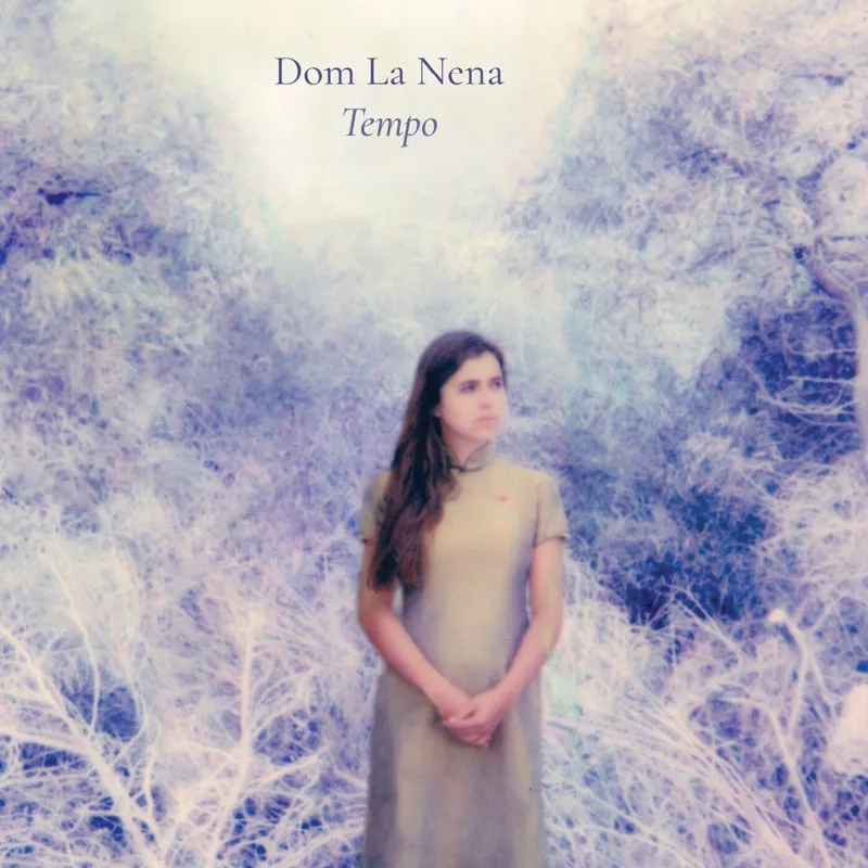 Album artwork for Tempo by Dom La Nena