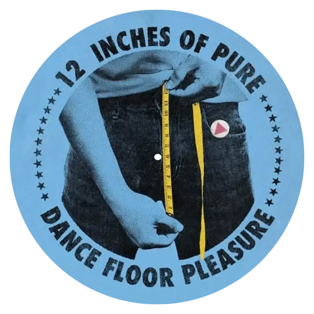 Album artwork for 12 Inches of Pleasure Slipmat by Disco Discharge