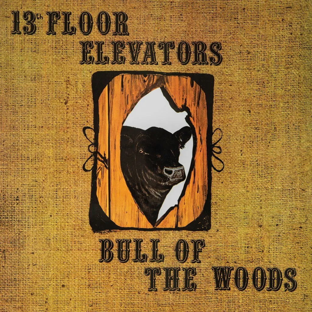 Album artwork for Bull of the Woods by 13th Floor Elevators