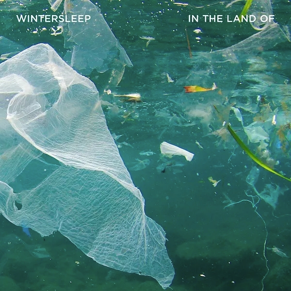 Album artwork for In The Land Of by Wintersleep