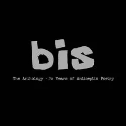 Album artwork for The Anthology - 20 Years by Bis