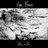Album artwork for Falling Into Pieces by Cape Francis