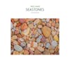 Album artwork for Seastones by Ned Lagin