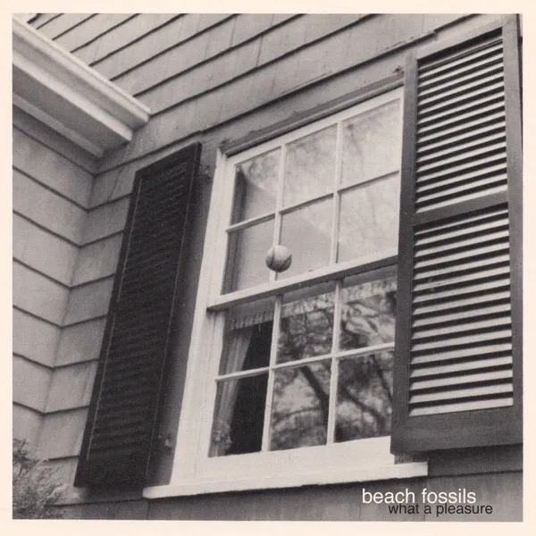 Album artwork for What A Pleasure (Reissue) by Beach Fossils