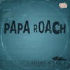 Album artwork for Greatest Hits Vol. 2 The Better Noise Years by Papa Roach