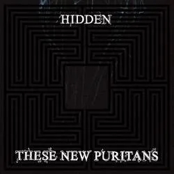 Album artwork for Hidden by These New Puritans