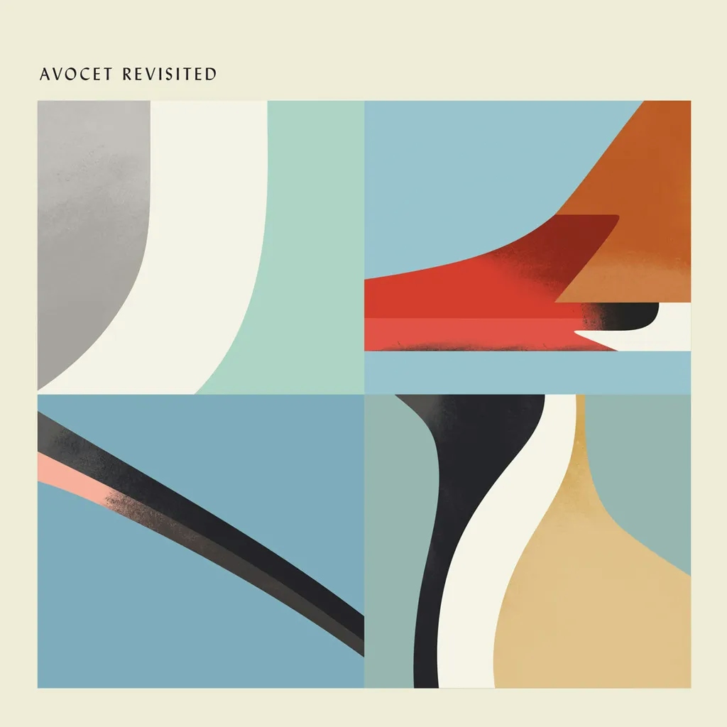 Album artwork for Avocet Revisited by Various