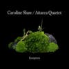 Album artwork for Evergreen by Caroline Shaw and Attacca Quartet