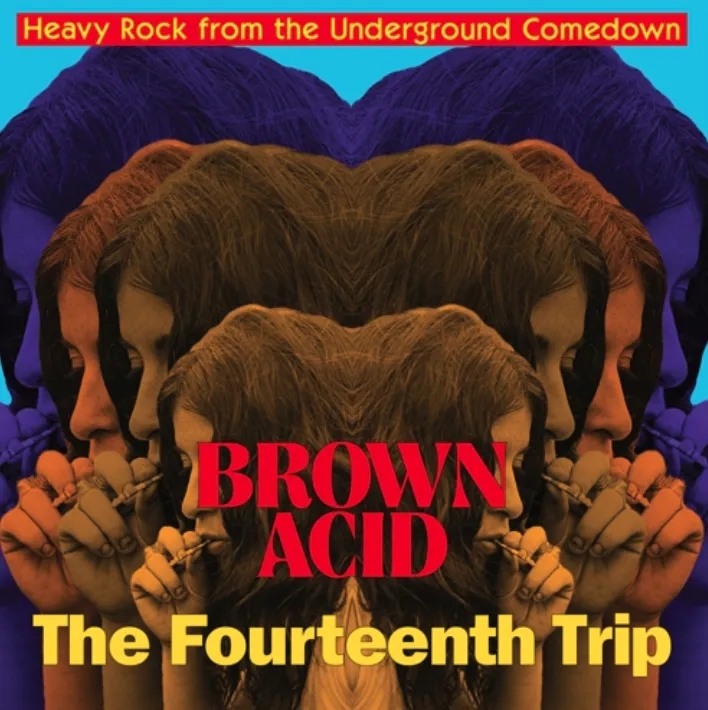 Album artwork for Brown Acid - The Fourteenth Trip by Various Artists