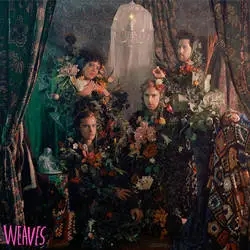 Album artwork for Weaves by Weaves