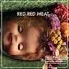 Album artwork for Bunny Gets Paid by Red Red Meat
