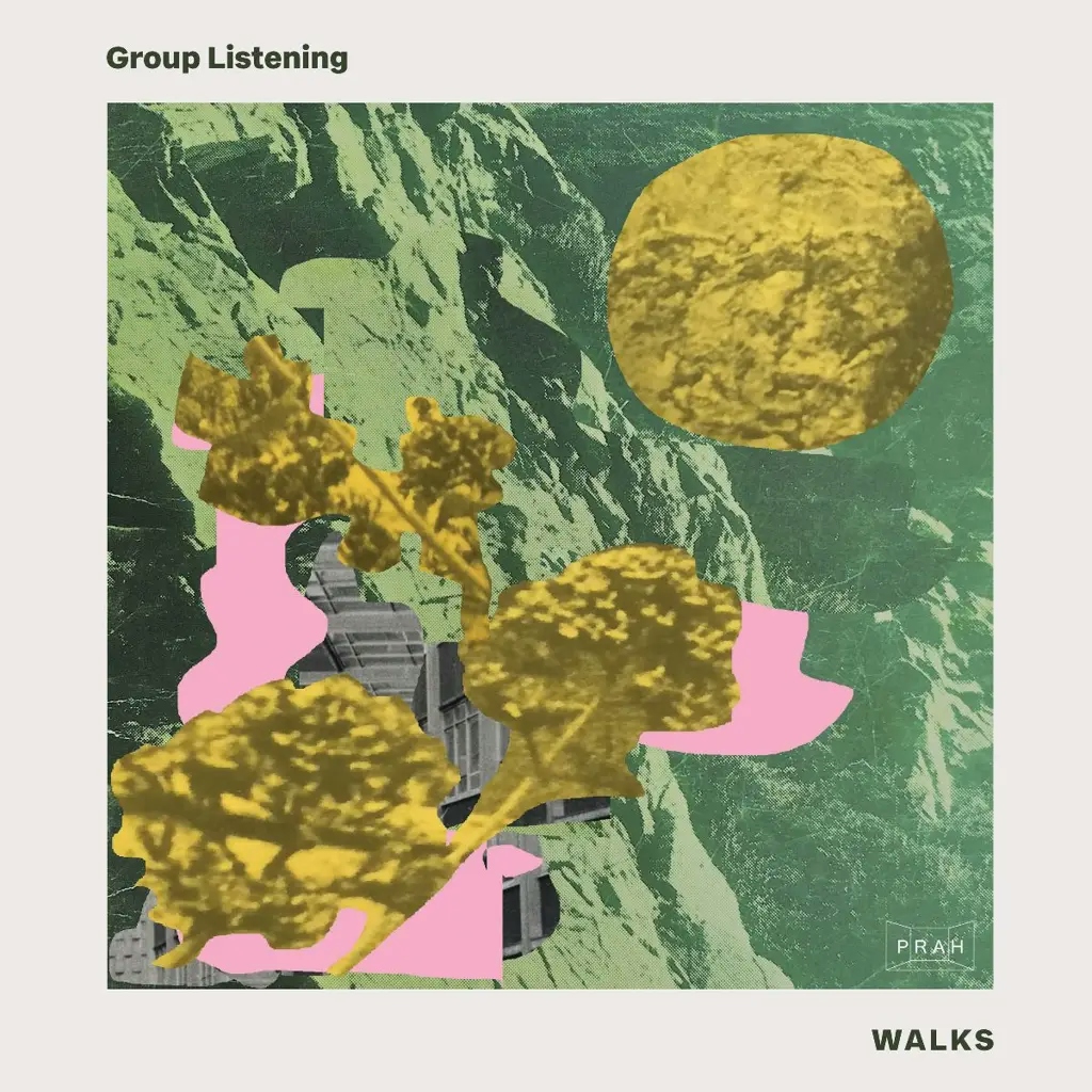 Album artwork for Walks by Group Listening