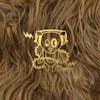 Album artwork for Super Furry Animals at the BBC by Super Furry Animals