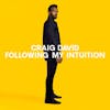 Album artwork for Following my Intuition by Craig David
