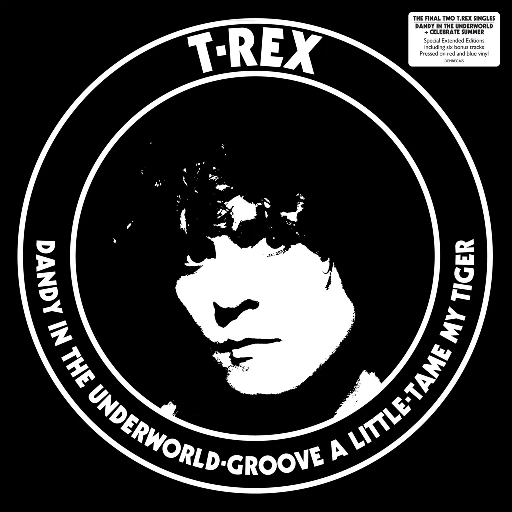Album artwork for Dandy In The Underworld by T Rex