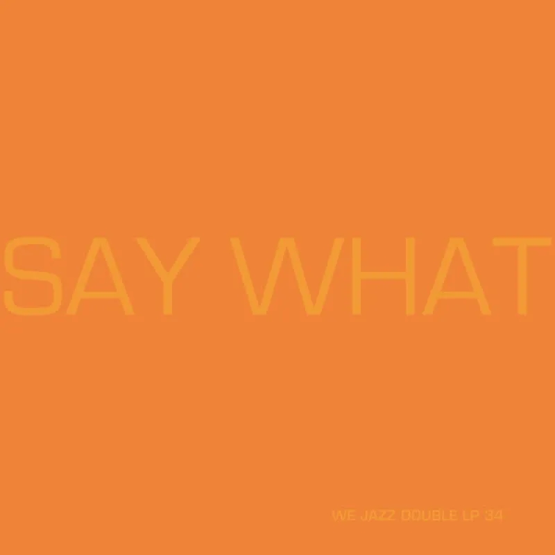 Album artwork for Say What by Say What