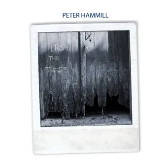 Album artwork for From the Trees by Peter Hammill