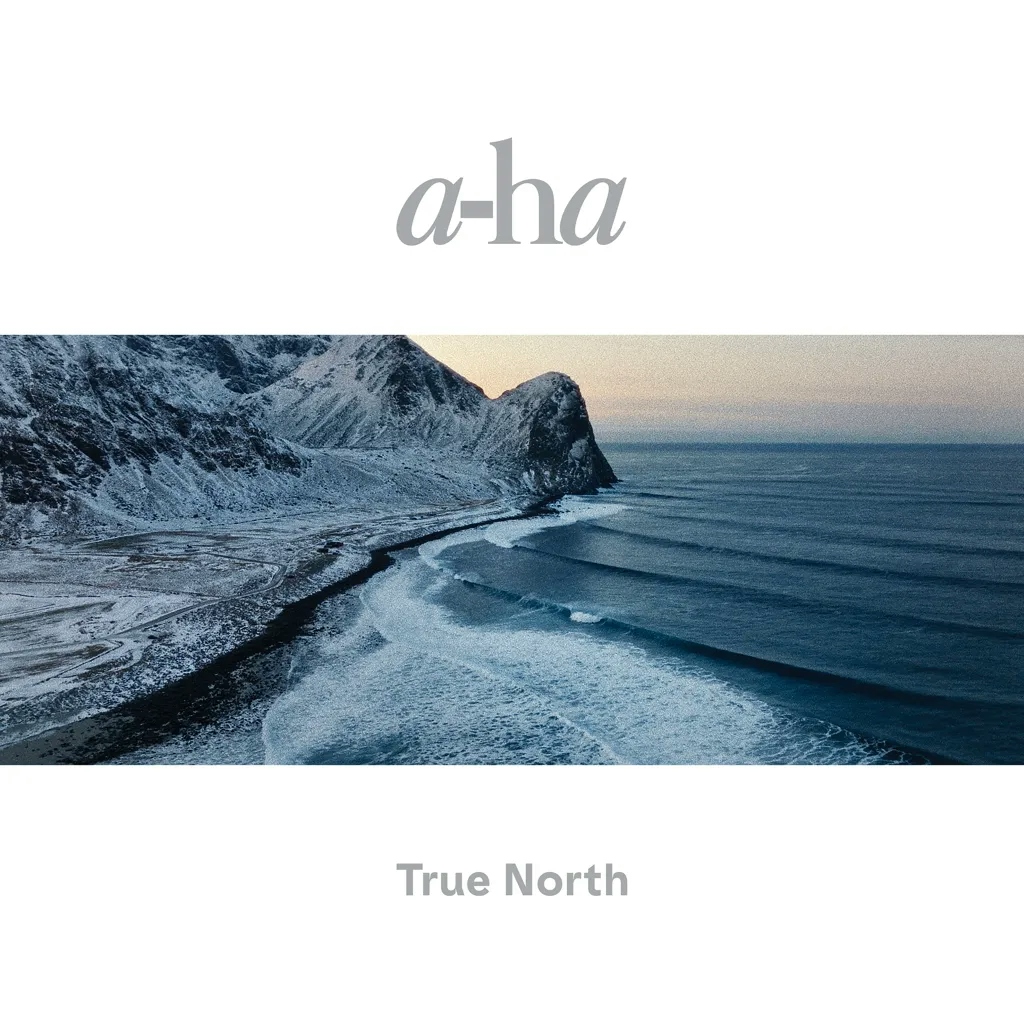 Album artwork for True North by A Ha