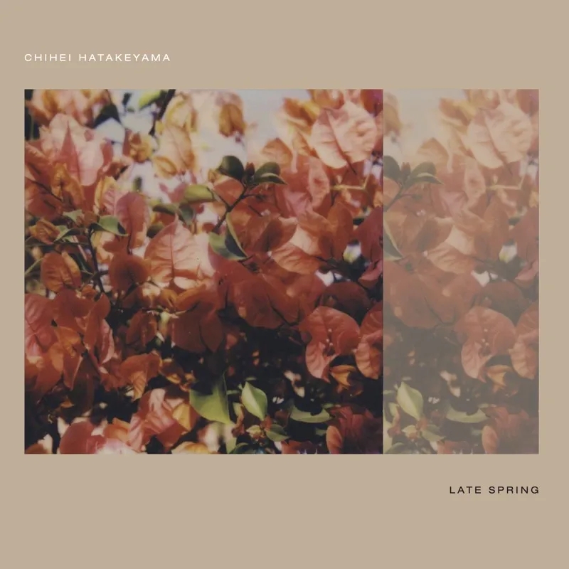 Album artwork for Late Spring by Chihei Hatakeyama